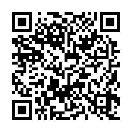 QR code for 411338