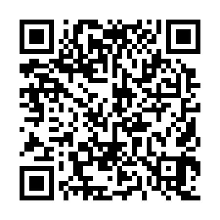 QR code for 411341