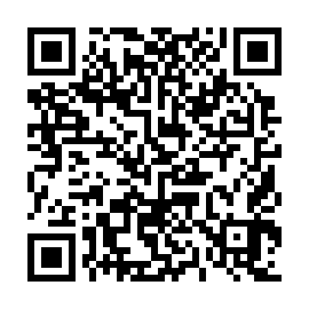 QR code for 411343
