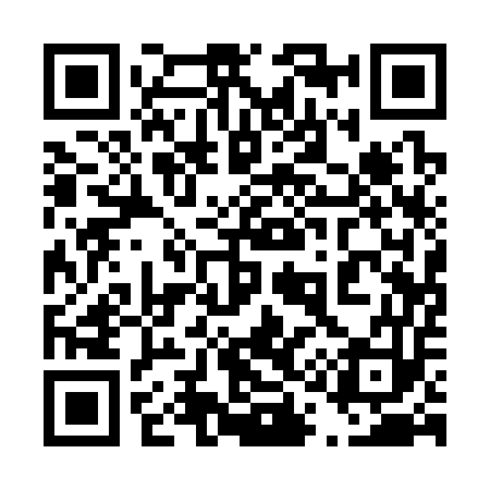 QR code for 411353