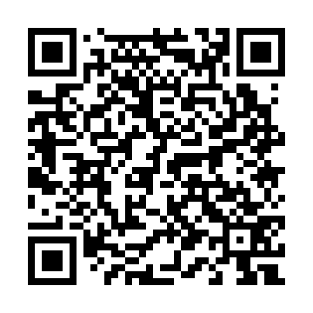 QR code for 411373
