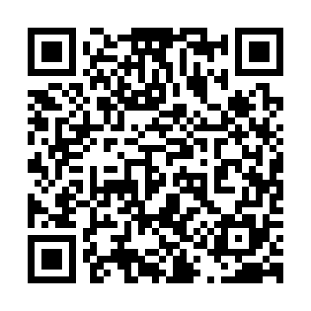 QR code for 411375