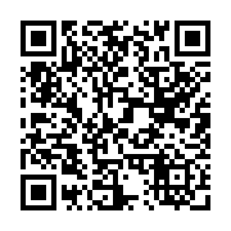 QR code for 411379