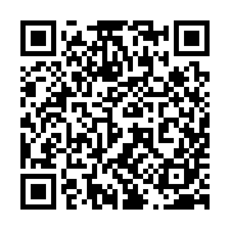 QR code for 411380