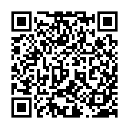 QR code for 411381