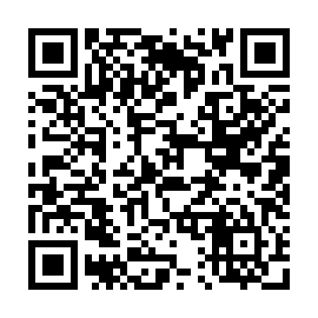 QR code for 411385
