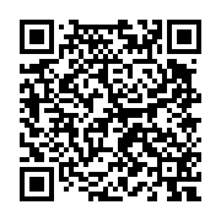 QR code for 411452