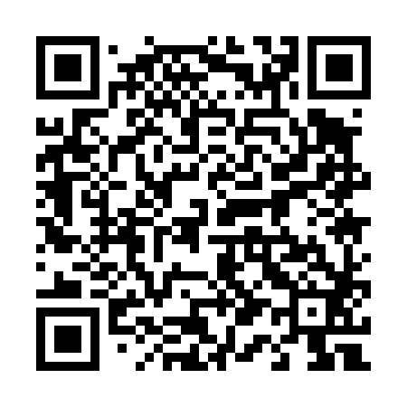 QR code for 411482
