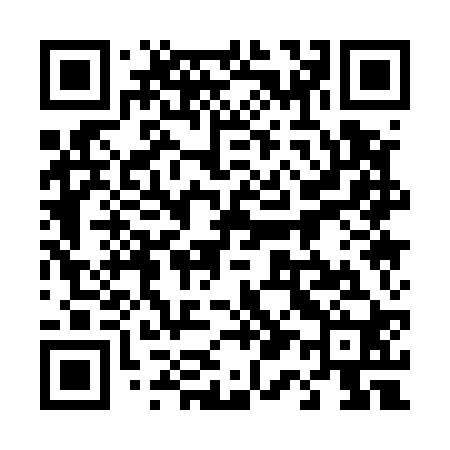 QR code for 411520
