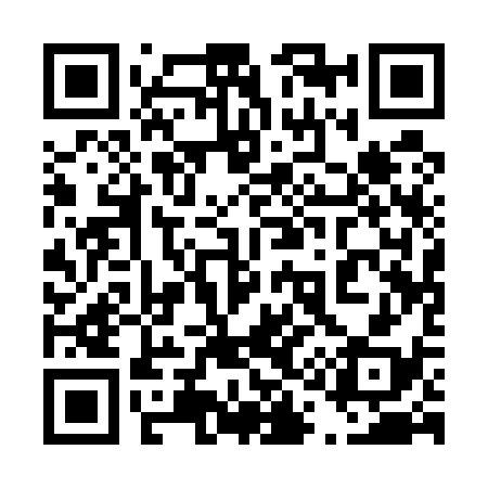 QR code for 411538