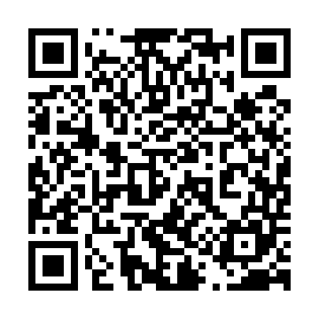 QR code for 411545