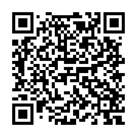 QR code for 411546