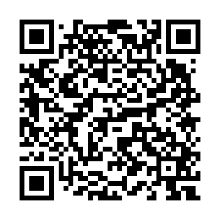 QR code for 411641