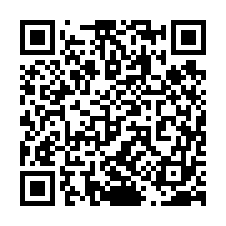QR code for 411673