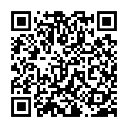 QR code for 411729