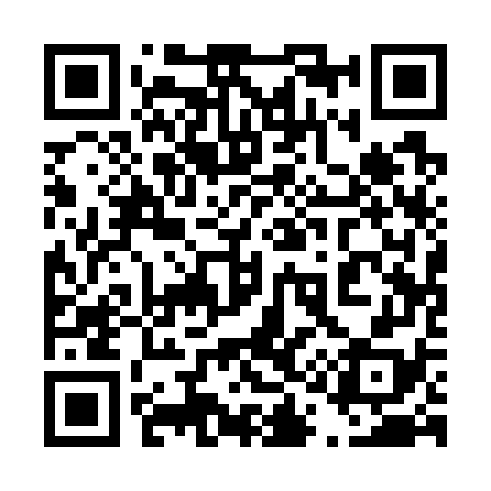 QR code for 411778