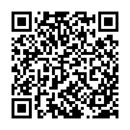 QR code for 411787