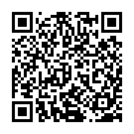 QR code for 411795