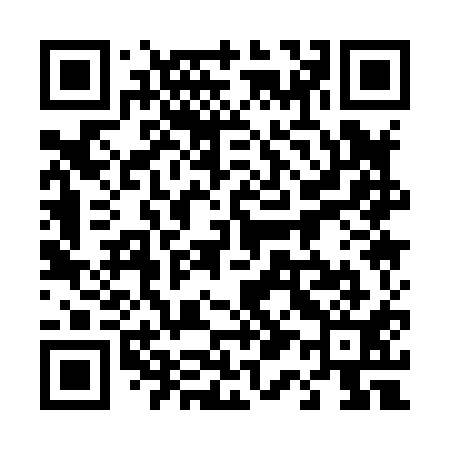 QR code for 411811