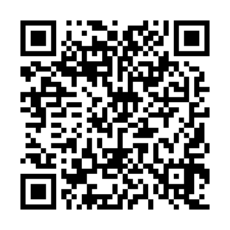 QR code for 411817
