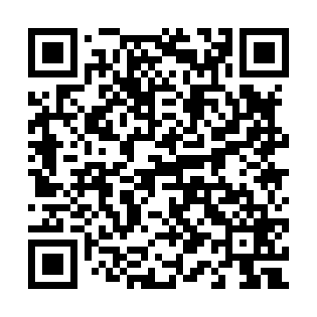 QR code for 411869