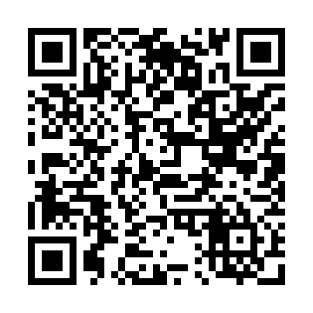 QR code for 411875