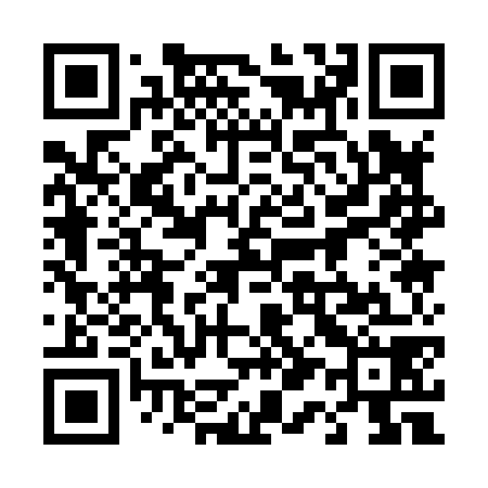 QR code for 411878