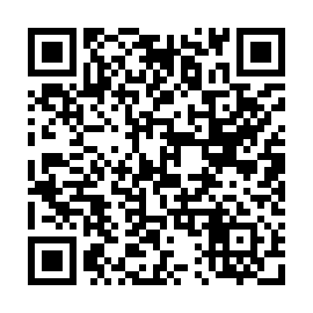 QR code for 411911