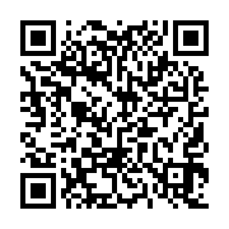 QR code for 411913