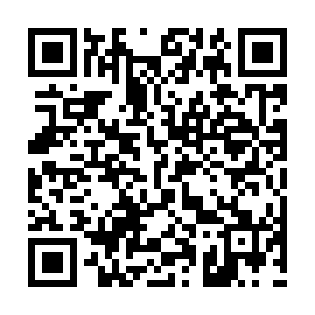 QR code for 411941