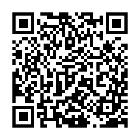 QR code for 411943