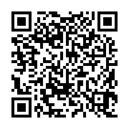 QR code for 411980