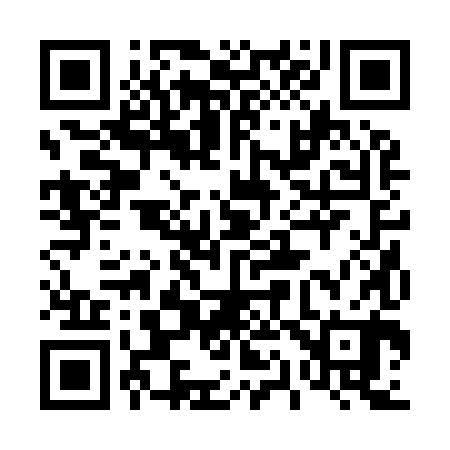 QR code for 412980