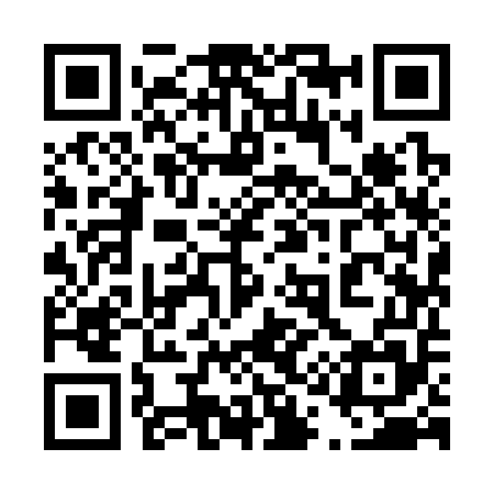 QR code for 419355