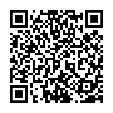 QR code for 419419
