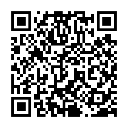 QR code for 419638