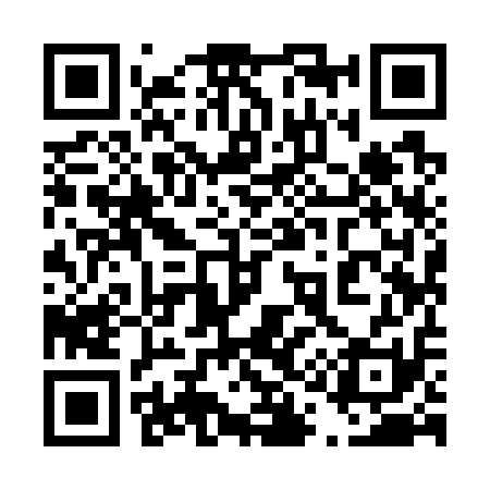 QR code for 419711