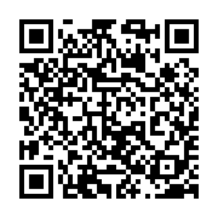 QR code for 423199