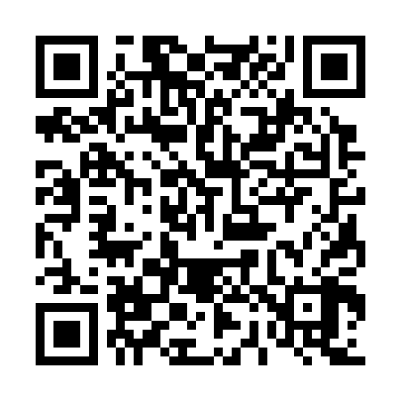 QR code for 423308