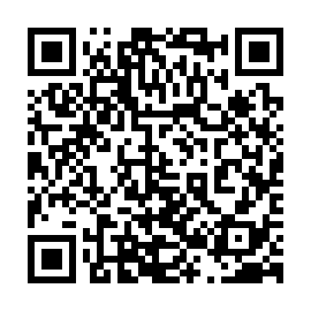 QR code for 423338