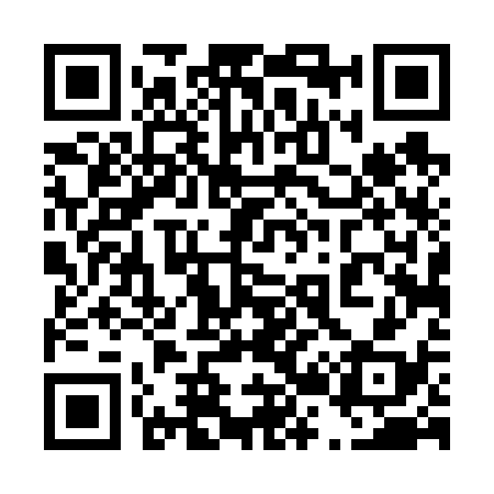 QR code for 424638