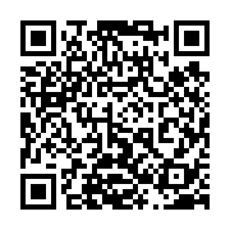 QR code for 425638