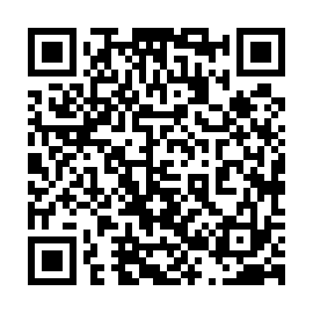 QR code for 428533