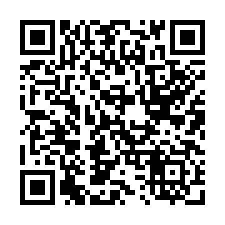 QR code for 438383