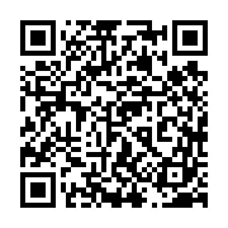 QR code for 438663