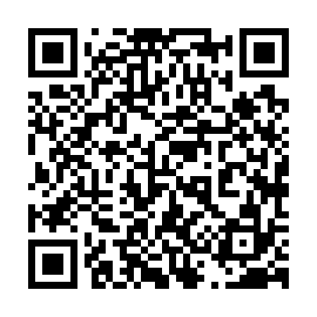 QR code for 438732
