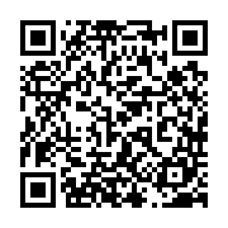 QR code for 438745