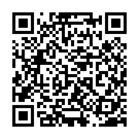 QR code for 439028