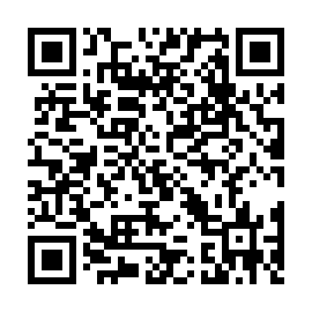 QR code for 439063