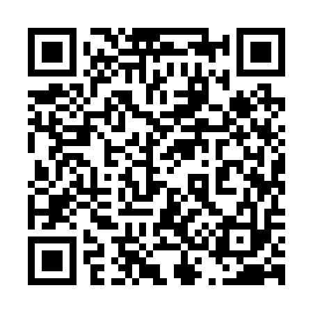 QR code for 439213